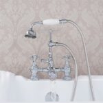 Duis sagitis ipsum prasent